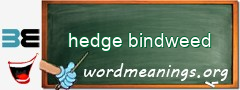 WordMeaning blackboard for hedge bindweed